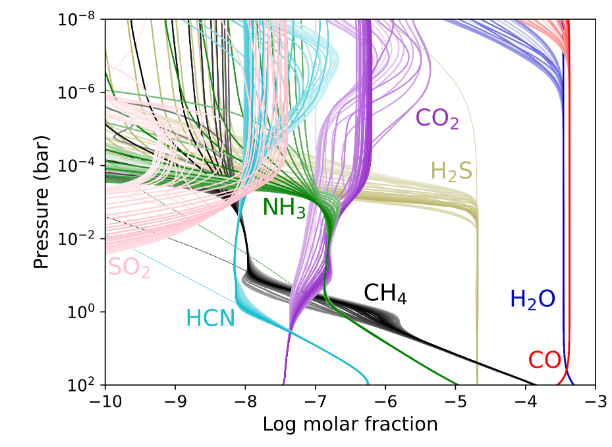 Phase differences in chemical composition.